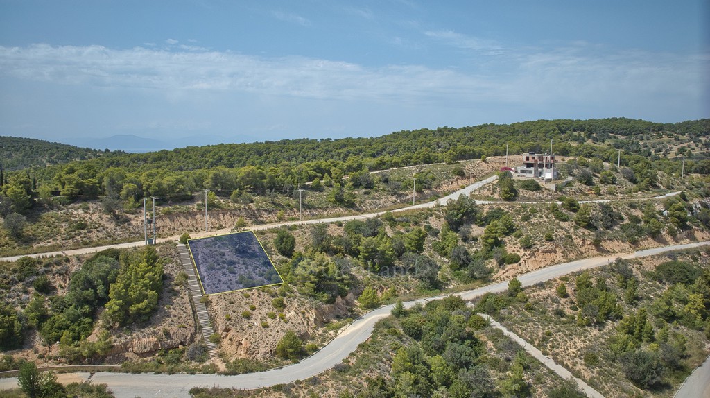 Οικόπεδο 400 τ.μ. προς πώληση, Βερβερούδα