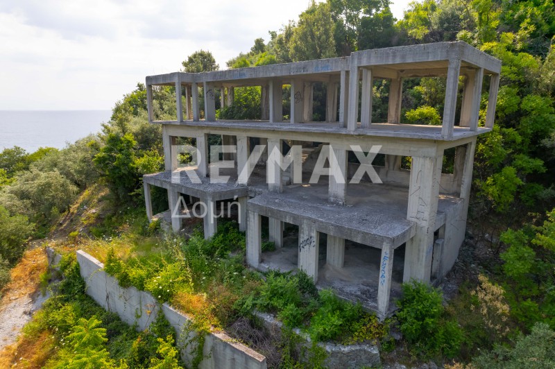 Κατοικία 326 τ.μ. προς πώληση, Χορευτό