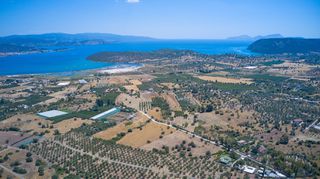 Αγροτεμάχια 7.995 τ.μ. για πώληση