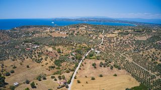 Αγροτεμάχια 7.995 τ.μ. για πώληση, Αργολίδα, Ερμιόνη-thumb-11