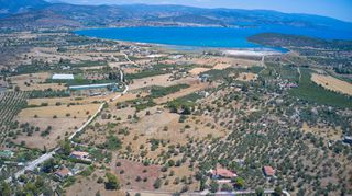 Αγροτεμάχια 7.995 τ.μ. για πώληση, Αργολίδα, Ερμιόνη-thumb-10