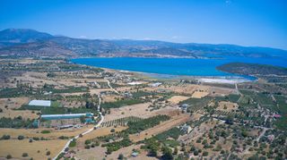 Αγροτεμάχια 4.588 τ.μ. για πώληση, Αργολίδα, Ερμιόνη-thumb-12