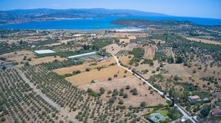 Αγροτεμάχια 4.588 τ.μ. για πώληση