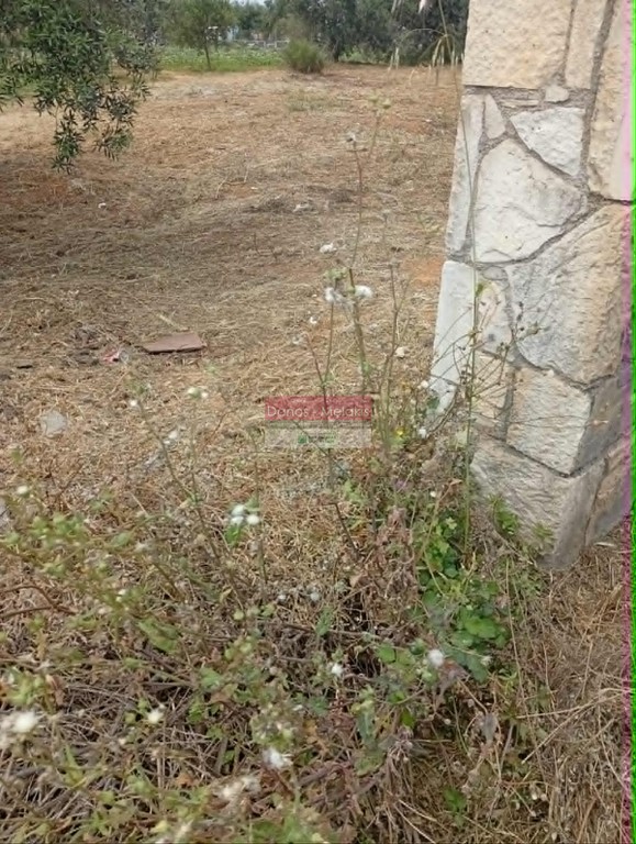 Οικόπεδο 11.009 τ.μ. προς πώληση, Μουρνιές Ελ. Βενιζέλου