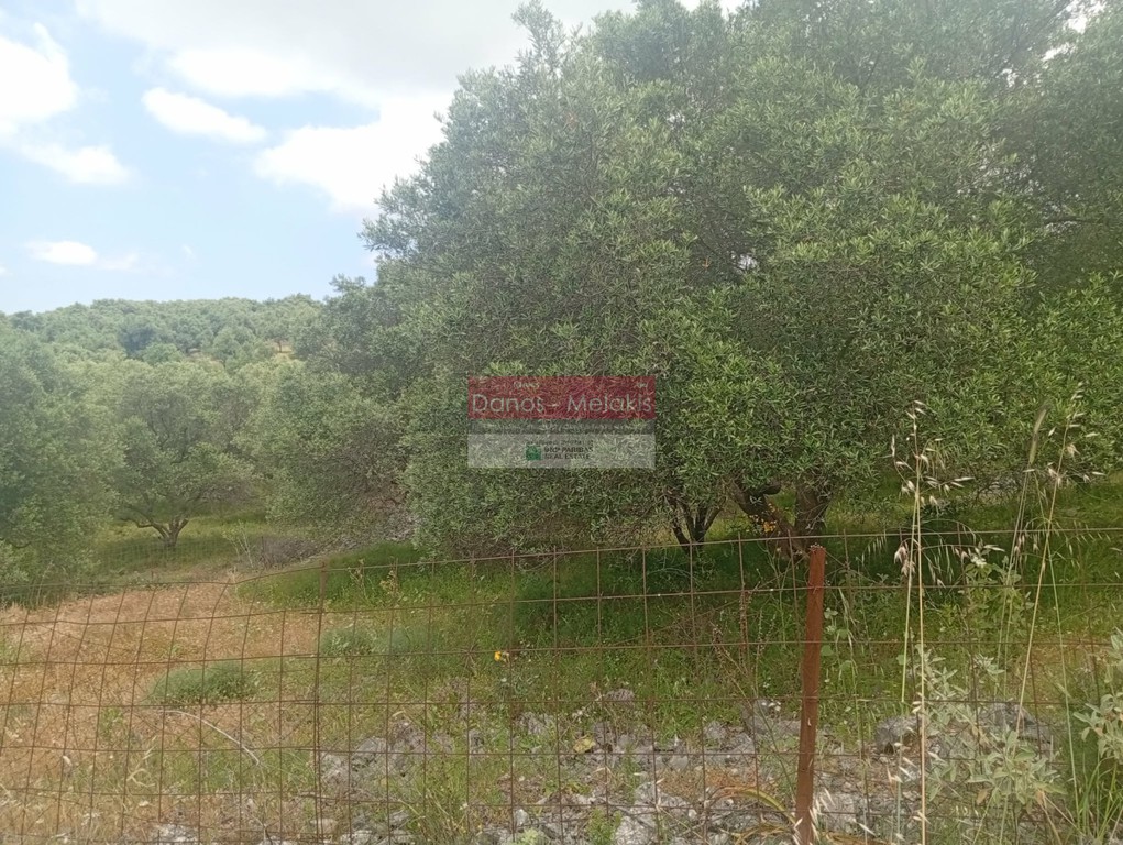 Αγροτεμάχια 6.761 τ.μ. προς πώληση, Αλίκαμπος