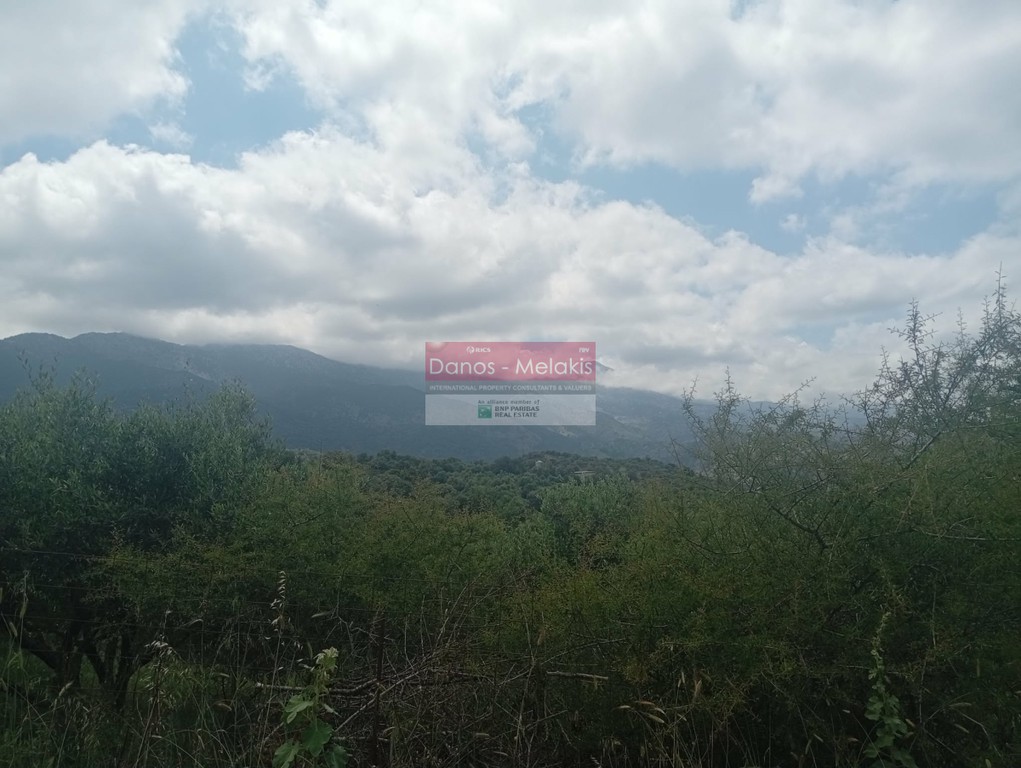 Αγροτεμάχια 6.761 τ.μ. προς πώληση, Αλίκαμπος