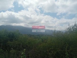 Αγροτεμάχια 6.761 τ.μ. για πώληση