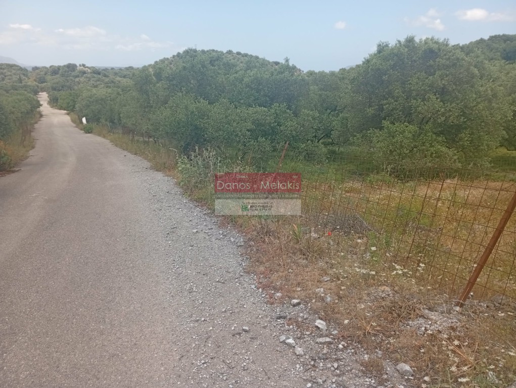 Αγροτεμάχια 6.761 τ.μ. προς πώληση, Αλίκαμπος
