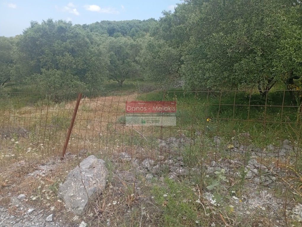 Αγροτεμάχια 6.761 τ.μ. προς πώληση, Αλίκαμπος