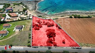 Αγροτεμάχια 5.500 τ.μ. για πώληση