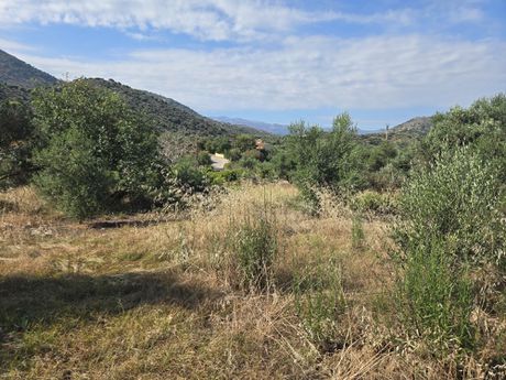 Οικόπεδο 2.046 τ.μ. προς πώληση