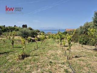 Οικόπεδο 1.473 τ.μ. για πώληση