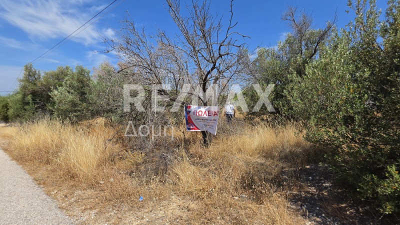 Αγροτεμάχια 255 τ.μ. προς πώληση, Κέντρο Παλαιάς Φώκαιας
