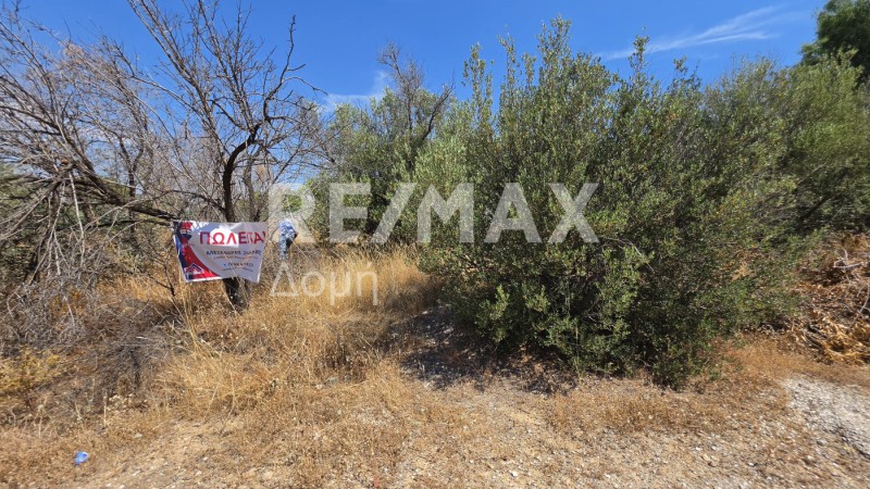 Αγροτεμάχια 255 τ.μ. προς πώληση, Κέντρο Παλαιάς Φώκαιας