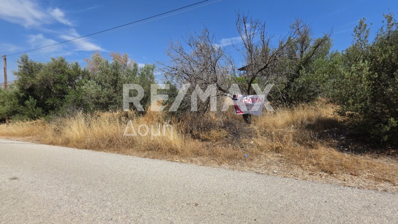 Αγροτεμάχια 255 τ.μ. προς πώληση, Κέντρο Παλαιάς Φώκαιας