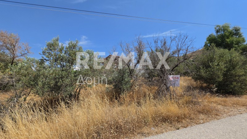 Αγροτεμάχια 255 τ.μ. προς πώληση, Κέντρο Παλαιάς Φώκαιας