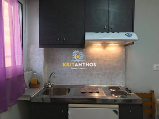 Studio / γκαρσονιέρα 25 τ.μ. για ενοικίαση, Ν. Ρεθύμνου, Ρέθυμνο-thumb-2