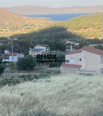 Αγροτεμάχια 4.660 τ.μ. προς πώληση