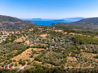 Αγροτεμάχια 3.023,54 τ.μ. για πώληση