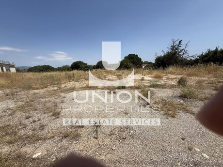 Αγροτεμάχια 2.500 τ.μ. προς ενοικίαση
