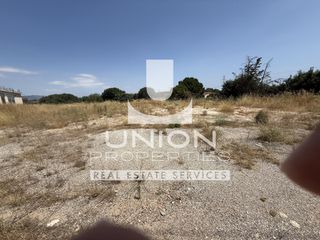 Αγροτεμάχια 2.500 τ.μ. για ενοικίαση