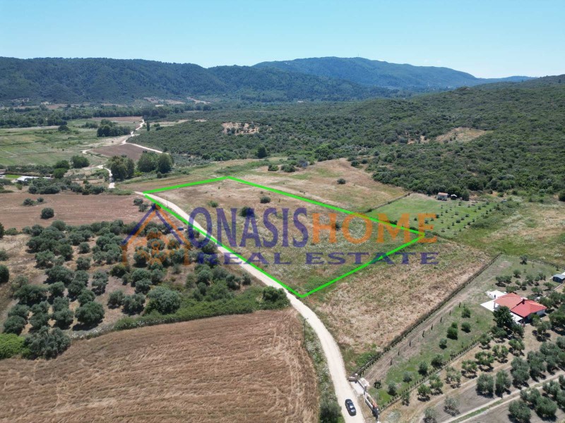 Αγροτεμάχια 16.807 τ.μ. πρός πώληση, Χαλκιδική, Σταγείρων - Ακάνθου