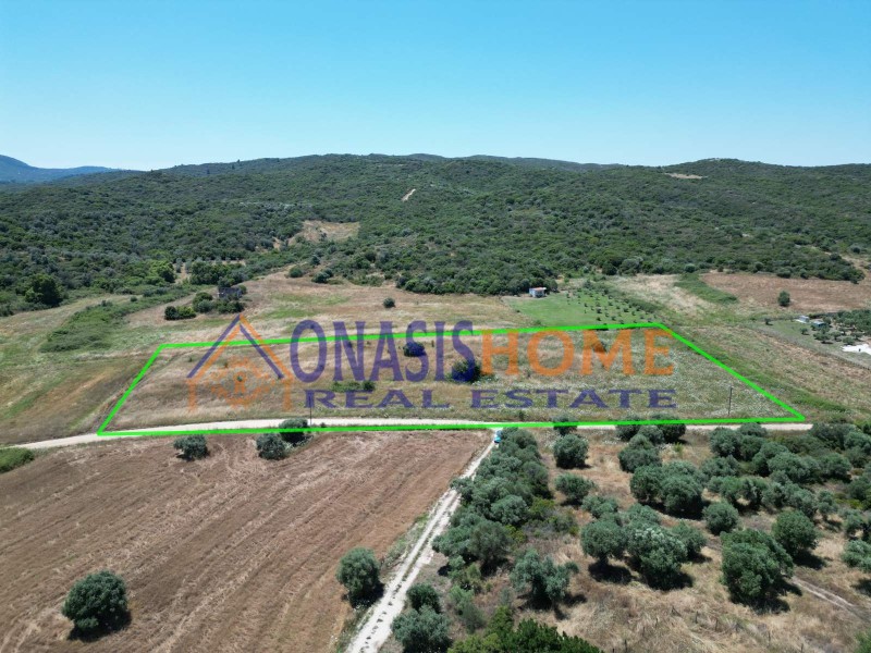 Αγροτεμάχια 16.807 τ.μ. πρός πώληση, Χαλκιδική, Σταγείρων - Ακάνθου