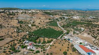 Αγροτεμάχια 11.245 τ.μ. για πώληση, Αργολίδα, Κρανίδι-thumb-4
