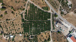 Αγροτεμάχια 11.245 τ.μ. για πώληση, Αργολίδα, Κρανίδι-thumb-19