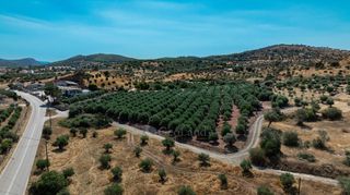 Αγροτεμάχια 11.245 τ.μ. για πώληση, Αργολίδα, Κρανίδι-thumb-2