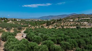 Αγροτεμάχια 11.245 τ.μ. για πώληση, Αργολίδα, Κρανίδι-thumb-16