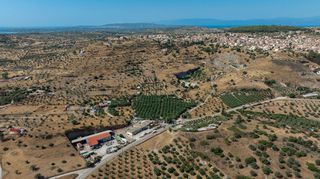 Αγροτεμάχια 11.245 τ.μ. για πώληση, Αργολίδα, Κρανίδι-thumb-8