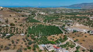 Αγροτεμάχια 11.245 τ.μ. για πώληση