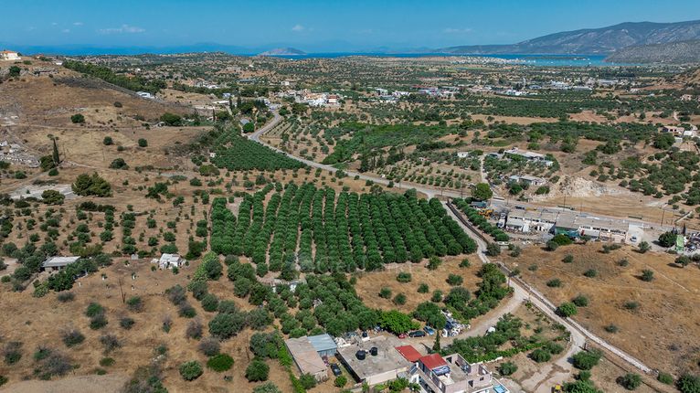 Αγροτεμάχια 11.245 τ.μ. για πώληση, Αργολίδα, Κρανίδι