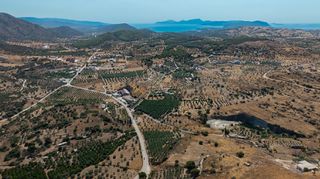 Αγροτεμάχια 11.245 τ.μ. για πώληση, Αργολίδα, Κρανίδι-thumb-21