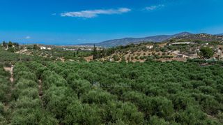 Αγροτεμάχια 11.245 τ.μ. για πώληση, Αργολίδα, Κρανίδι-thumb-18