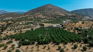 Αγροτεμάχια 11.245 τ.μ. για πώληση, Αργολίδα, Κρανίδι-thumb-7