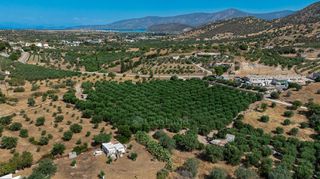 Αγροτεμάχια 11.245 τ.μ. για πώληση, Αργολίδα, Κρανίδι-thumb-13