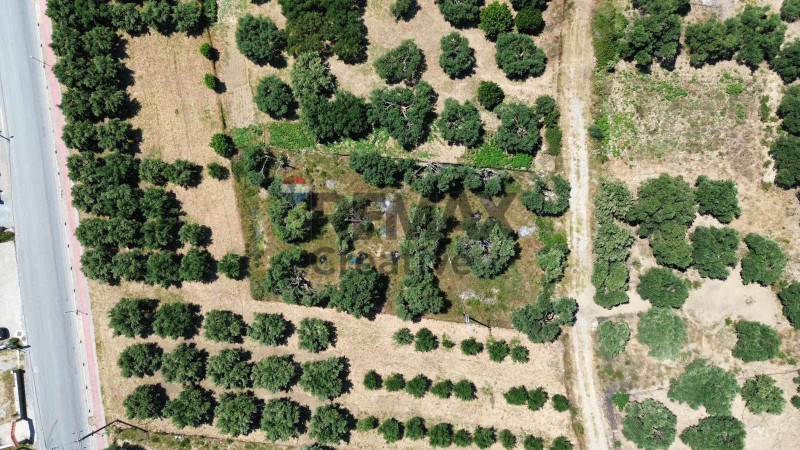 Οικόπεδο 249,76 τ.μ. πρός πώληση, Ν. Ρεθύμνου, Φοινίκας