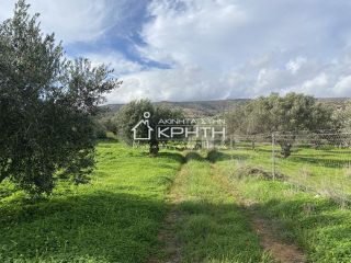 Οικόπεδο 2.891 τ.μ. για πώληση, Ν. Λασιθίου, Ιεράπετρα-thumb-2