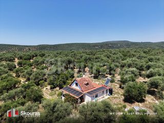 Μονοκατοικία 57 τ.μ. για πώληση, Μεσσηνία, Νέστορας-thumb-20