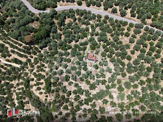 Μονοκατοικία 57 τ.μ. για πώληση, Μεσσηνία, Νέστορας-thumb-21