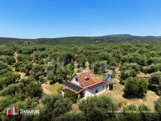 Μονοκατοικία 57 τ.μ. για πώληση, Μεσσηνία, Νέστορας-thumb-18