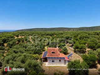 Μονοκατοικία 57 τ.μ. για πώληση, Μεσσηνία, Νέστορας-thumb-19