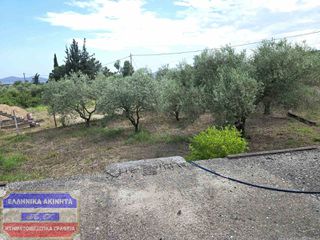 Μονοκατοικία 150 τ.μ. για πώληση, Ν. Καβάλας, Ελευθερές-thumb-18