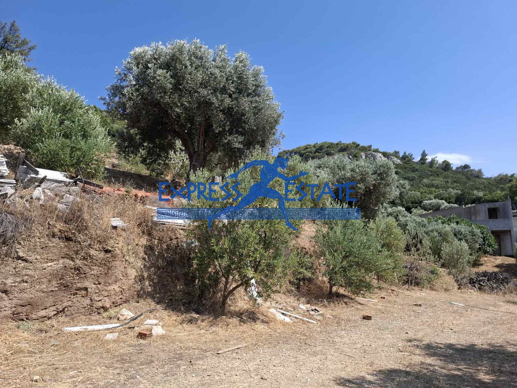 Οικόπεδο 7.000 τ.μ. πρός πώληση, Αθήνα - Ανατολικά Προάστια, Μαραθώνας