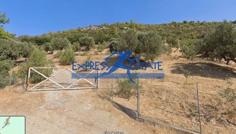 Οικόπεδο 7.000 τ.μ. πρός πώληση