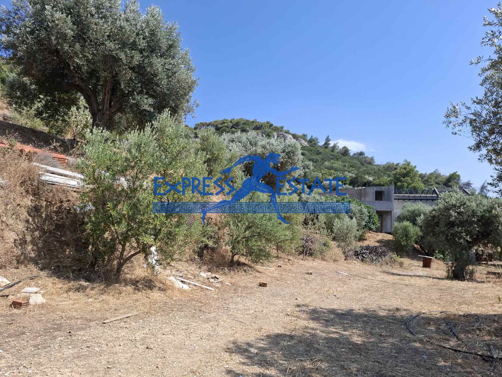 Οικόπεδο 7.000 τ.μ. πρός πώληση, Αθήνα - Ανατολικά Προάστια, Μαραθώνας