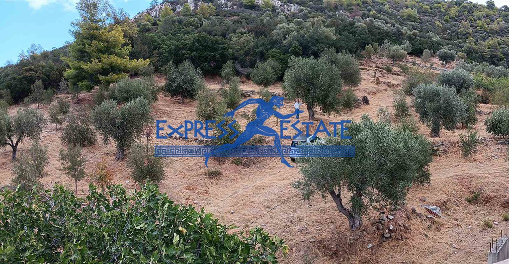 Συγκρότημα διαμερισμάτων 520 τ.μ. πρός πώληση, Αθήνα - Ανατολικά Προάστια, Μαραθώνας