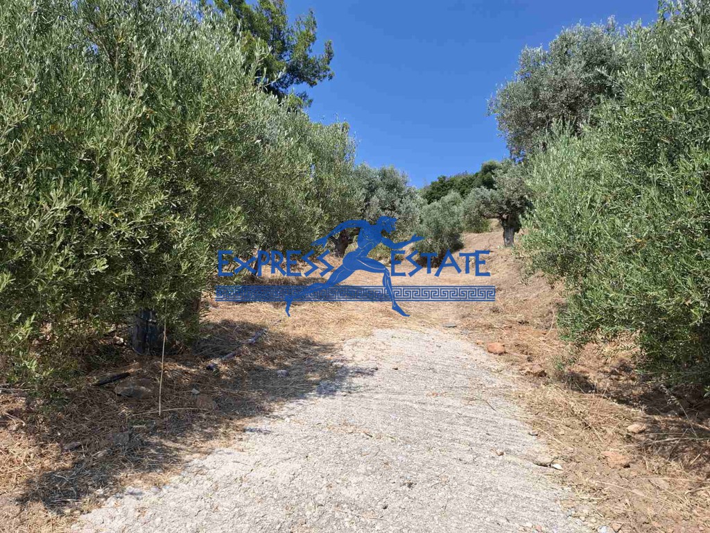 Συγκρότημα διαμερισμάτων 520 τ.μ. πρός πώληση, Αθήνα - Ανατολικά Προάστια, Μαραθώνας